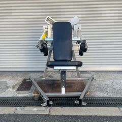 HAMMER STRENGTH　ハンマーストレングス　プレートロード ラテラル・レイズ　中古　の画像