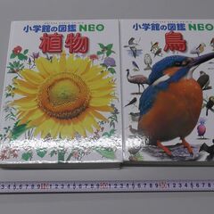 【取引決定】小学館の図書館NEO　植物・鳥　1セットの画像