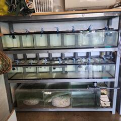 水槽セットの画像
