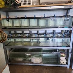 水槽セットの画像