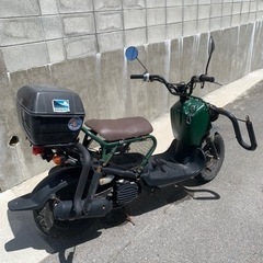 HONDA ズーマー　HONDA ZOOMER50cc 原付の画像
