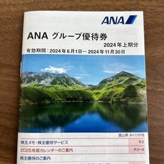 ANA株主優待券2枚+グループ優待券
の画像