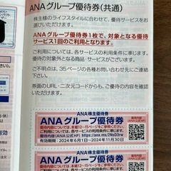 ANA株主優待券2枚+グループ優待券
の画像