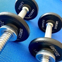IROTEC ダンベル シャフト＋ウェイト1.25kg×4 セットの画像