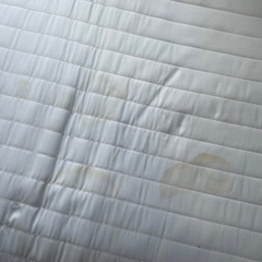 9/7までの引き渡し希望　シングルベッドの画像