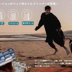 本日限定！4way❤️爪切り グルーミングネイルクリッパー ヤスリ へアコーム 抜け毛コーム 猫 犬の画像