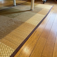 イグサラグ　いぐさ絨毯　　いぐさマット　の画像