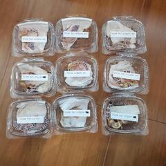 初心者応援！レオパ6,800円から！