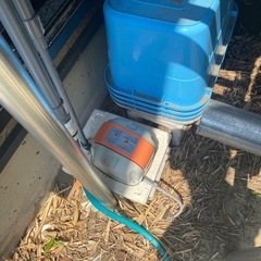 メダカ用棚、容器、スチールラック、浄水器、 
の画像