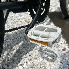 SCHWINN ビーチクルーザーカスタム完成！