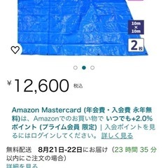 ブルーシート 10m×10m #3000 厚手の画像