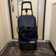 買い物カート🛒𓈒𓂂𓏸