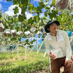 【岡山県】🍇ぶどう農園で楽しく作業🍇 大募集！(バイト代 時給1...
