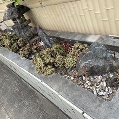 石の画像