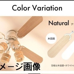 シーリングファン　取りに来ていただける方に