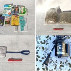 魚　熱帯魚観賞の画像