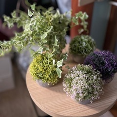 IKEA フェイカ　人工観葉植物