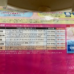 マナーウェア 🩷女の子用 ペット おむつの画像