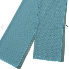 ★新品‼︎★クールタオルの画像