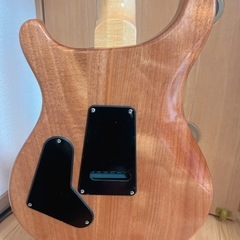 PRS SE Custom 24-08-Faded Blue【木目選定品】の画像