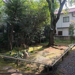 植物・樹木・自然に触れる仕事がしたい方【樹木医在籍】の画像