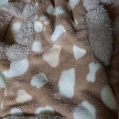 ペットウェアの画像