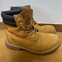 ティンバーランドの画像