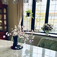 ダイニングシャンデリアの画像