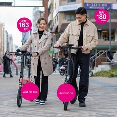 デモ車【RICHBIT(ﾘｯﾁﾋﾞｯﾄ)】CITY 電動バイク　レンジャーグリーン　★公道走行可能★免許不要★の画像