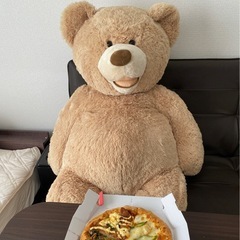 コストコ　くま　ぬいぐるみ　🧸