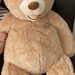 コストコ　くま　ぬいぐるみ　🧸の画像