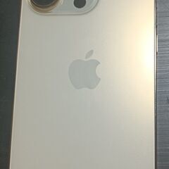 発送対応可(要別途5%) 屋内使用 SIMフリー iPhone1...
