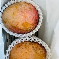 マンゴー(コウブン)1kg⑦