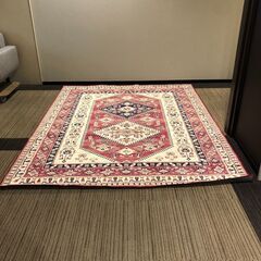 ▼値下げ▼【展示品・未使用品】ラグ ペルシャ風 ウィルトン織 200×250cm Lサイズ 参考価格24990円?自社配送時?代引き可?※現金、クレジット、スマホ決済対応※