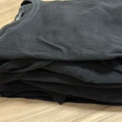 BODY WILD Tシャツ　12枚の画像
