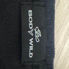 BODY WILD Tシャツ　12枚の画像