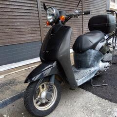 原付バイク ホンダTodayの画像