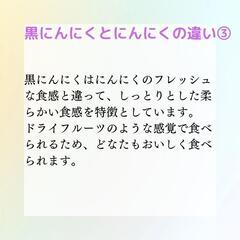 発酵熟成黒にんにくお試し100gの画像