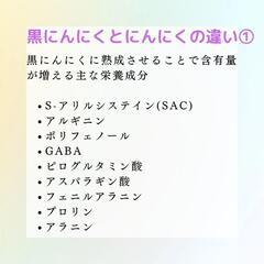 発酵熟成黒にんにくお試し100gの画像