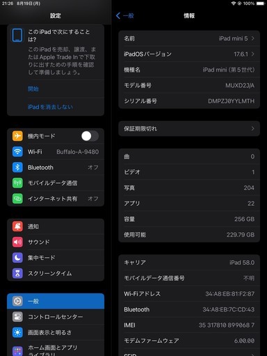 iPad mini 第5世代 Wi-Fi+Cellular 256GB シルバー