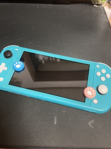 Nintendo Switch Lite ターコイズ 中古 本体とプロコン付き