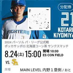 エスコン　8/24　vsソフトバンク戦ペアチケット　通路側　花火大会