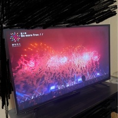 ハイセンス 43インチ テレビ Hisense