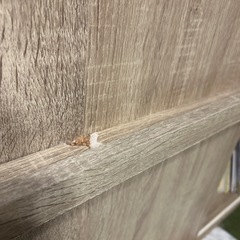 【最終価格】LOWYA ロウヤ シュアメリーの画像