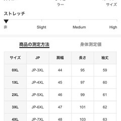 SHEIN 大きいサイズ テロテロシャツの画像