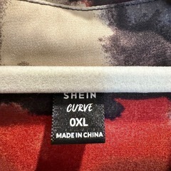 SHEIN 大きいサイズ テロテロシャツの画像