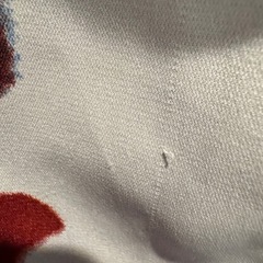 SHEIN 大きいサイズ テロテロシャツの画像