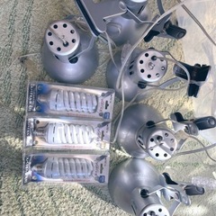 売れました！カミハタ　ヴォルテス30w5台　交換球３個