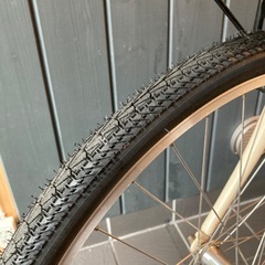 ルイガノLGS-TR2 420mmの画像