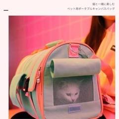 ペットキャリーバッグ
